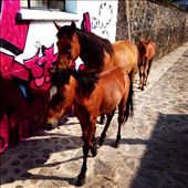 by kikkijayne, Views[129]