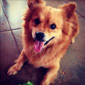 by kikkijayne, Views[242]