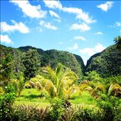 by kikkijayne, Views[221]