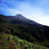 by kikkijayne, Views[285]