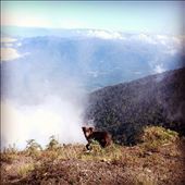 by kikkijayne, Views[243]