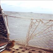 by kikkijayne, Views[257]