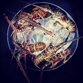 by kikkijayne, Views[183]