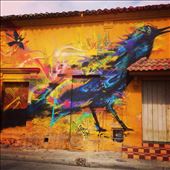 by kikkijayne, Views[241]