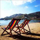 by kikkijayne, Views[495]