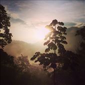 by kikkijayne, Views[185]