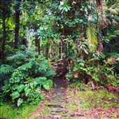 by kikkijayne, Views[636]