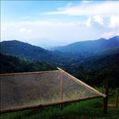 by kikkijayne, Views[625]