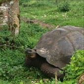 by kikkijayne, Views[789]