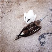 by kikkijayne, Views[263]