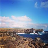 by kikkijayne, Views[766]