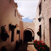 by kikkijayne, Views[244]