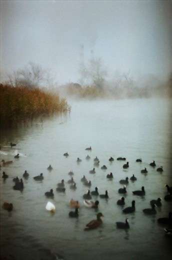 nowadays reality.nature is trying to adapt