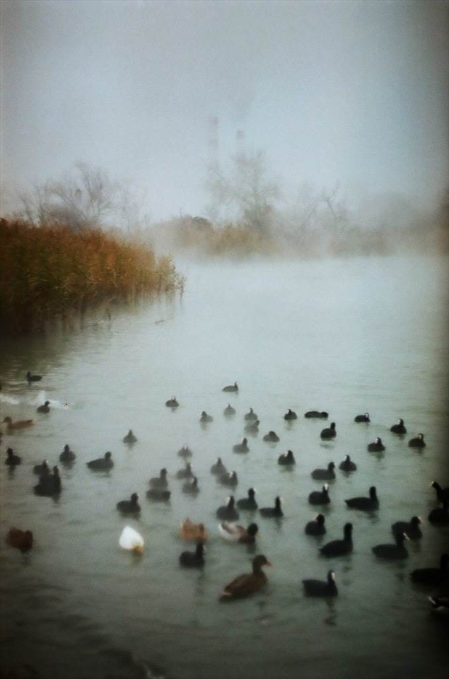 nowadays reality.nature is trying to adapt