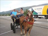 Mi familia gets a surprise horse and buggy ride from the owner of Hostel Asturias!: by kimlyons, Views[809]