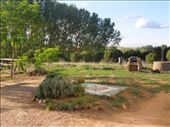 The garden at Montemarte albergue: by kimlyons, Views[241]