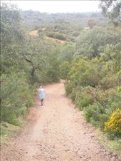 by kimlyons, Views[166]