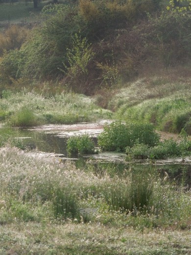 Day 5: on The Way to Montesoria.