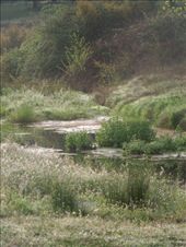 Day 5: on The Way to Montesoria.: by kimlyons, Views[186]