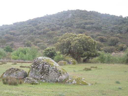 Still day 12 walking through the Cornalvo National Park, home to the rare black stork.