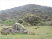 Still day 12 walking through the Cornalvo National Park, home to the rare black stork.: by kimlyons, Views[264]