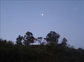 Half moon at Albergue de Alcantara: by kimlyons, Views[219]