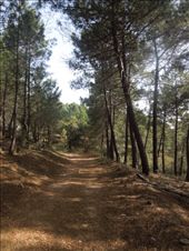 Day 15: On the Way to Grimaldo: by kimlyons, Views[216]