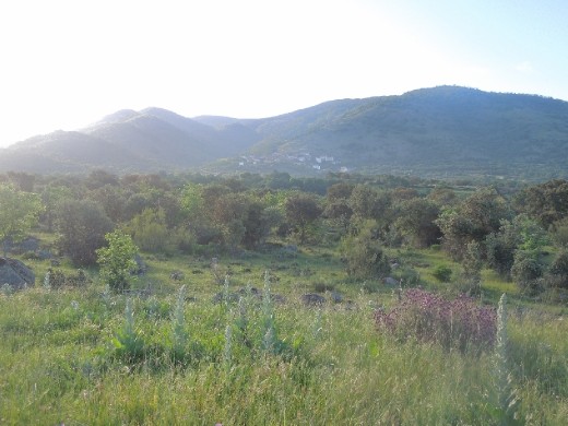 Day 18: On the Way to Banos de Montemajor