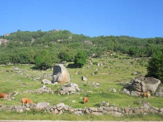 Day 19: On the Way to Pico de la Duena