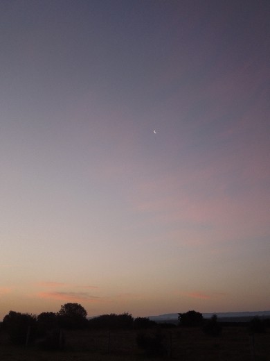 Day 20: Sunrise with balsamic moon