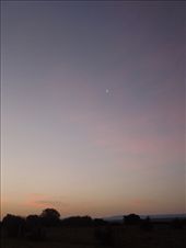 Day 20: Sunrise with balsamic moon: by kimlyons, Views[207]