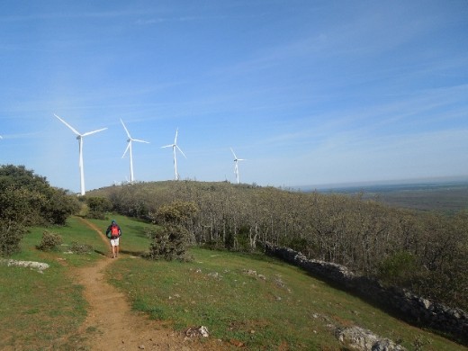 Day 20: on the Way to San Pedro de Rozados