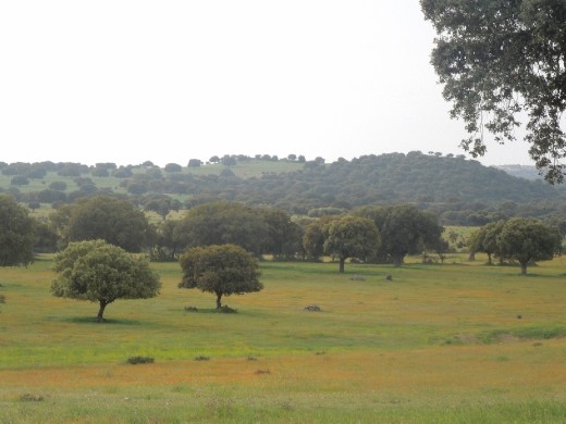 Day 21: on the Way to Salamenca