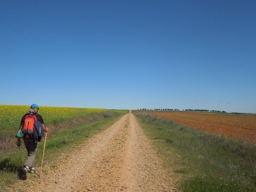 Day 22: On the Way to Montemarte from Zamora (This is where Juan and I took the bus 76kms from Salamenca to Zamora to skip out on walking alongside the highway). 
