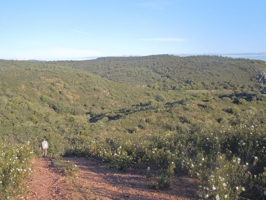 Day 24: On the Way to Tabaras