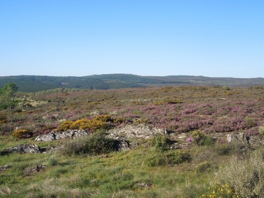 Day 28: On the Way to Requejo