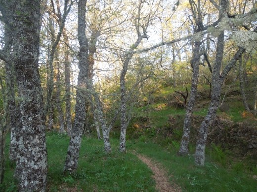 Day 29: On the Way to Lubian