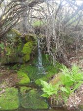 by kimlyons, Views[119]