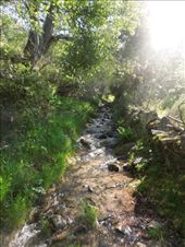 The Camino river!: by kimlyons, Views[122]