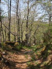 by kimlyons, Views[107]