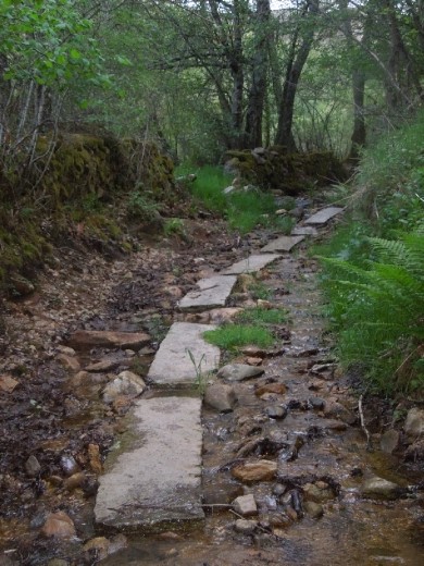 Day 30: On the Way to A Gudina