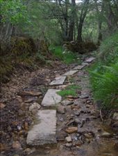 Day 30: On the Way to A Gudina: by kimlyons, Views[135]