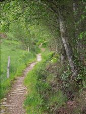 by kimlyons, Views[118]