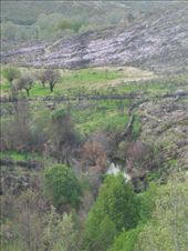 by kimlyons, Views[133]