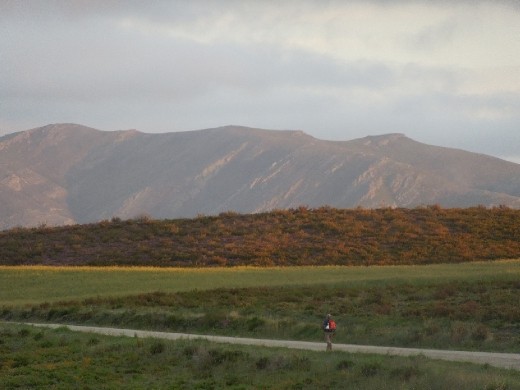 Day 31: On the Way to Laza