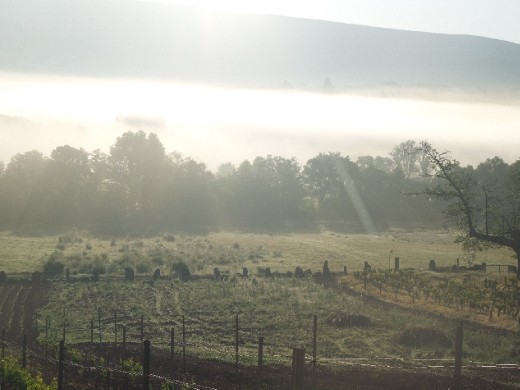 Day 32: On the Way to Vilar de Barrio