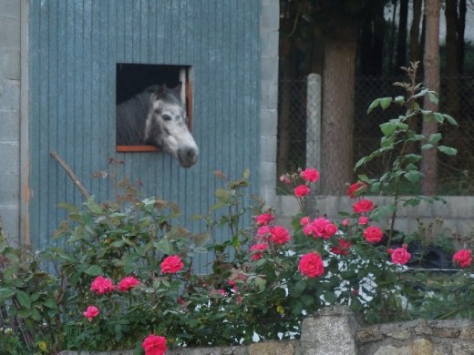 Day 33: On the Way to Ourense
