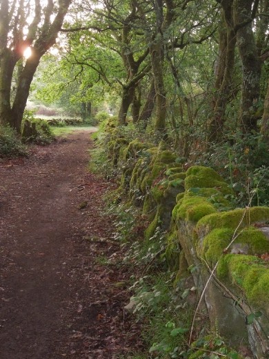 Day 38: On the Way to Laxe