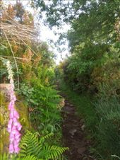 by kimlyons, Views[114]