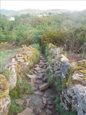 by kimlyons, Views[145]